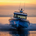 Axopar 37 Cross Cabin